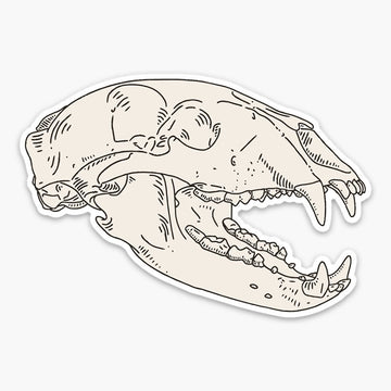 American Black Bear Skull Sticker