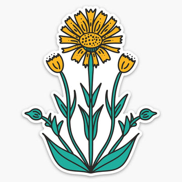 Arnica Montana Wildflower Sticker