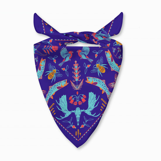 Beehive Basin - Big Sky Montana - Bandana