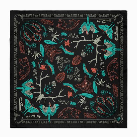 Bob Marshall Wilderness - Montana - Bandana
