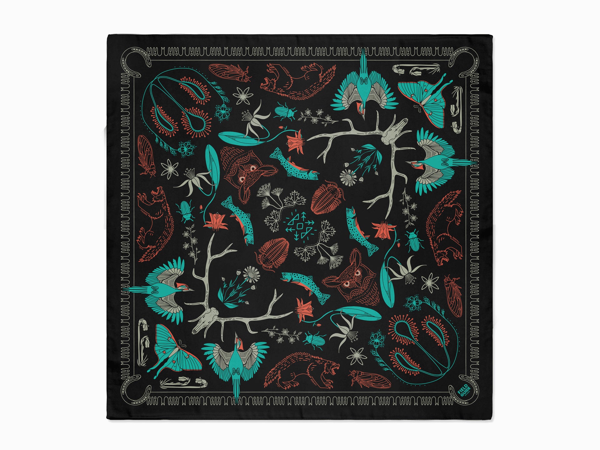 Bob Marshall Wilderness - Montana - Bandana