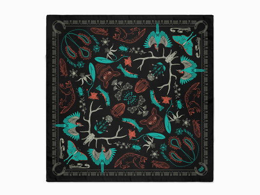 Bob Marshall Wilderness - Montana - Bandana