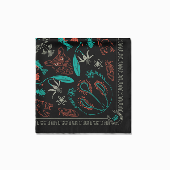 Bob Marshall Wilderness - Montana - Bandana