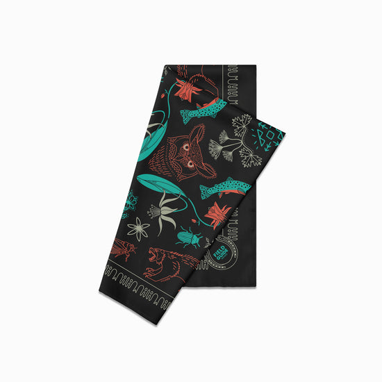 Bob Marshall Wilderness - Montana - Bandana