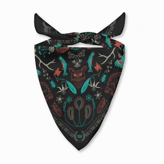 Bob Marshall Wilderness - Montana - Bandana