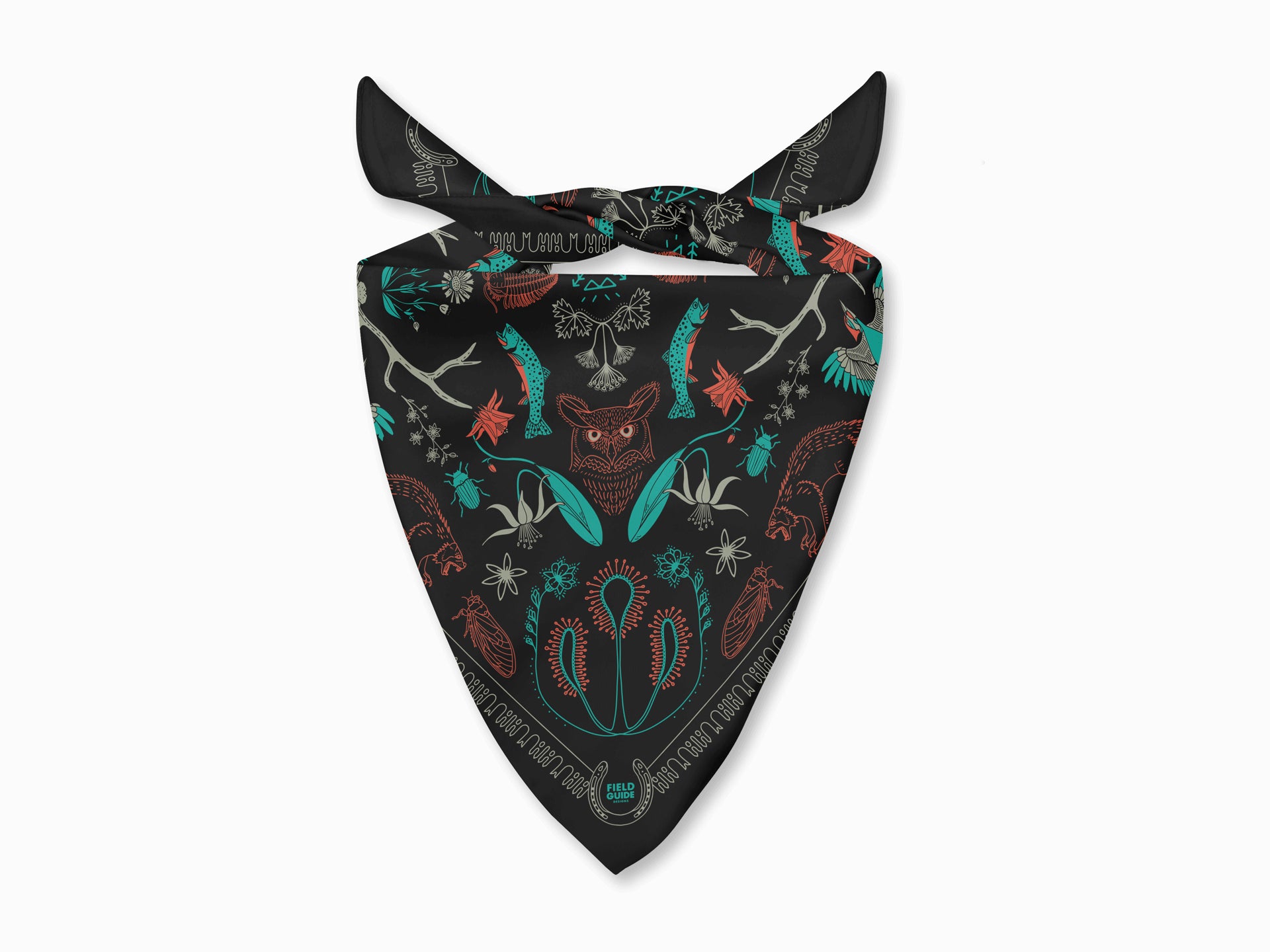 Bob Marshall Wilderness - Montana - Bandana