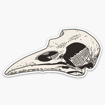 Common Raven Skull Sticker