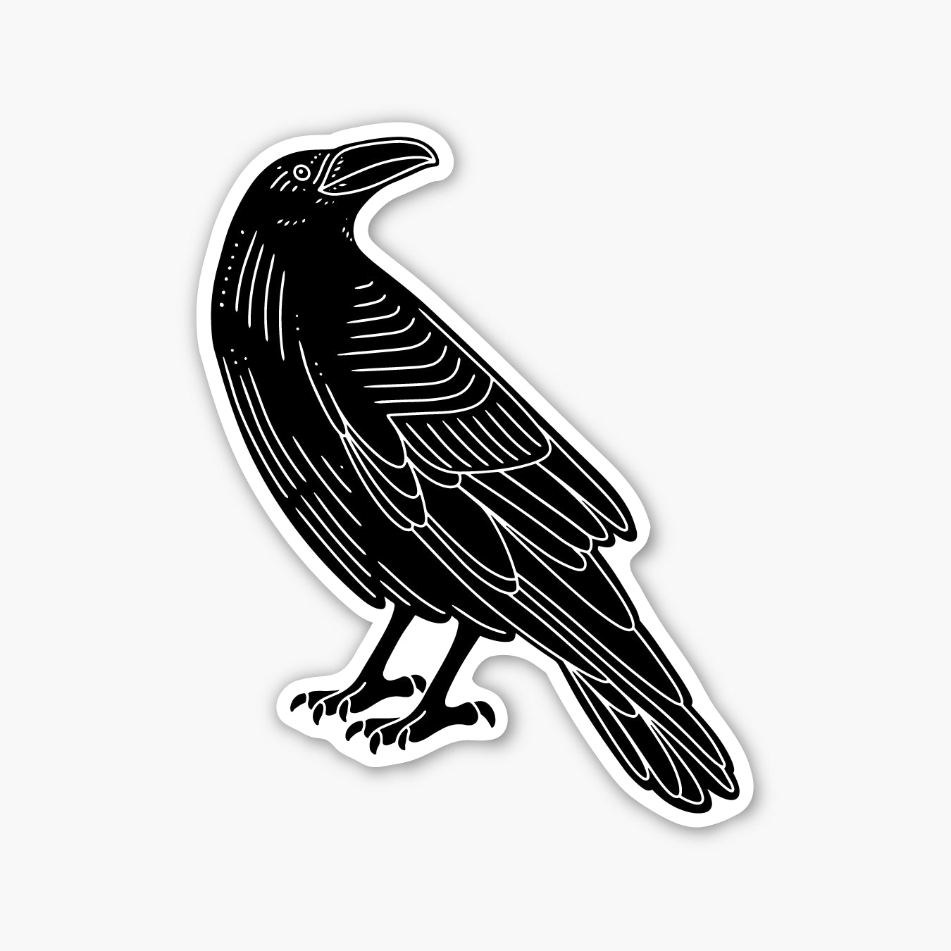 Common Raven Sticker