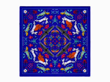 Delicate Arch - Arches National Park - Bandana