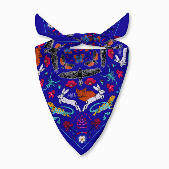 Delicate Arch - Arches National Park - Bandana