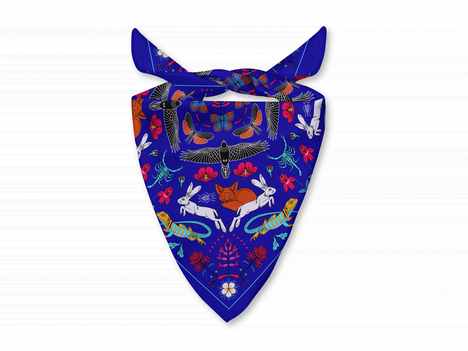 Delicate Arch - Arches National Park - Bandana