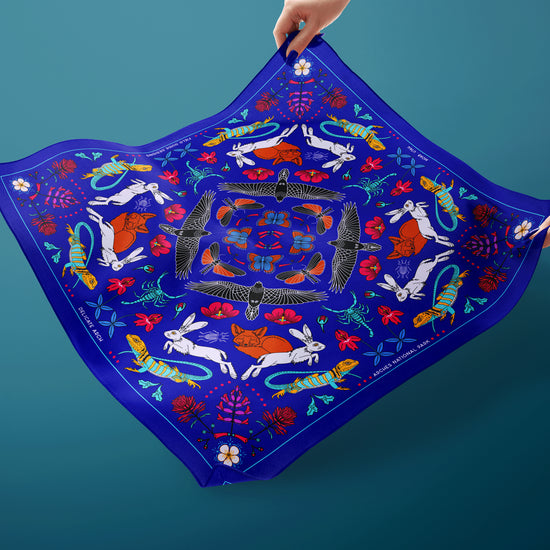 Delicate Arch - Arches National Park - Bandana