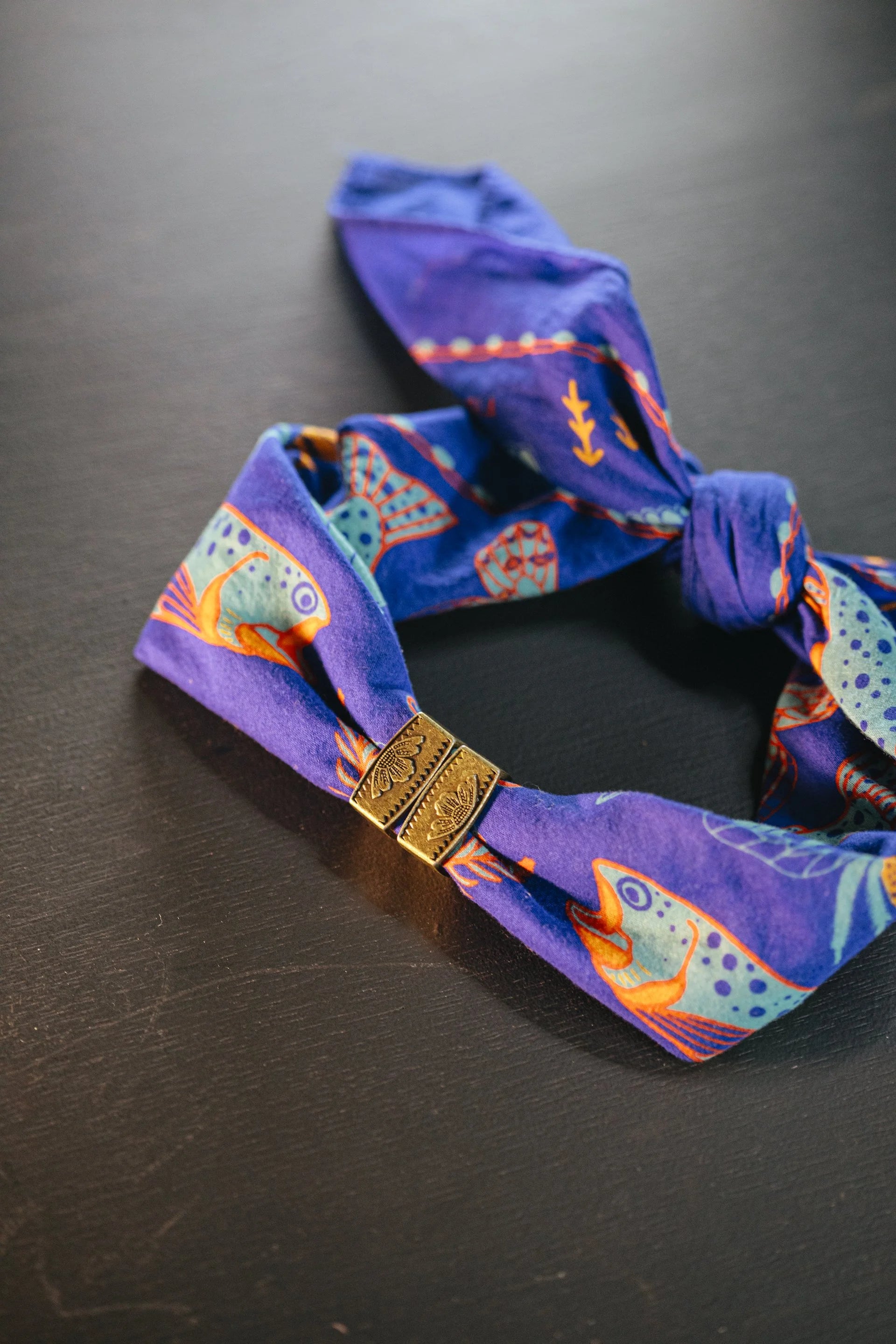 Salt Lick Bandana Slide
