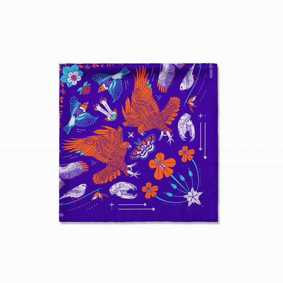 Grand Teton - Teton National Park - Landmark Bandana