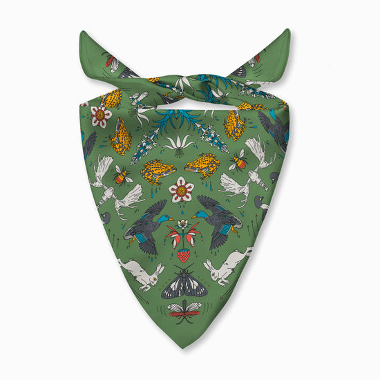 Hyalite Canyon - Bozeman, Montana - Landmark Bandana