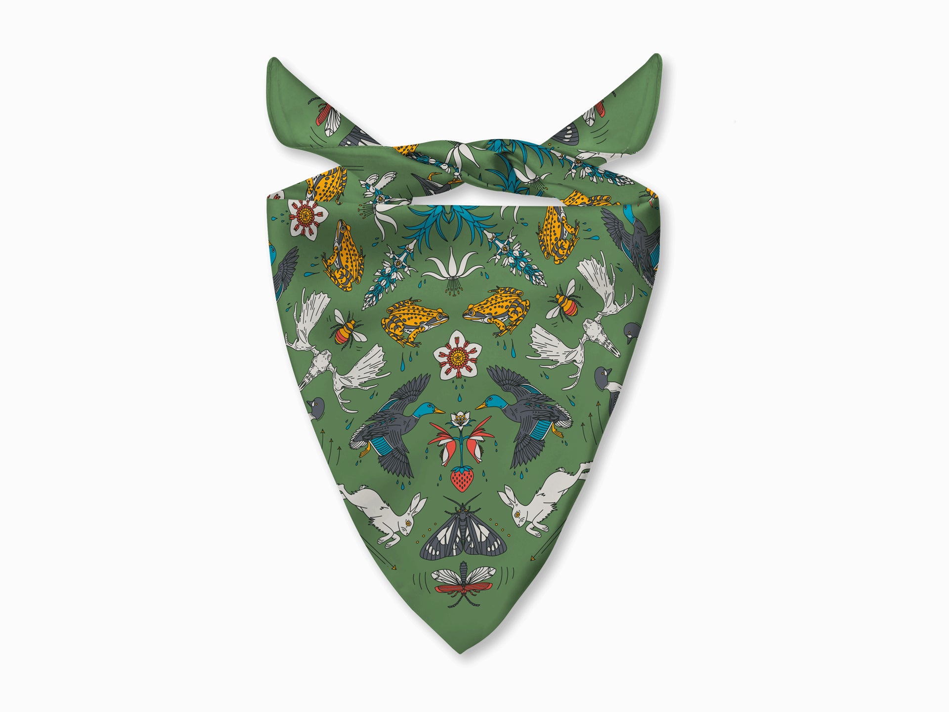 Hyalite Canyon - Bozeman, Montana - Landmark Bandana