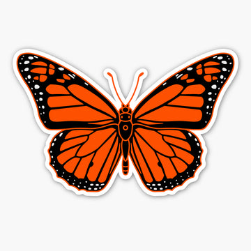 Monarch Butterfly Sticker