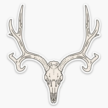 Mule Deer Sticker
