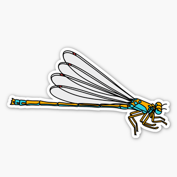 Pacific Forktail Damselfly Sticker