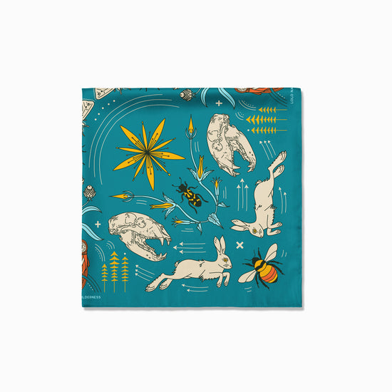 Rattlesnake Wilderness - Missoula, Montana - Landmark Bandana